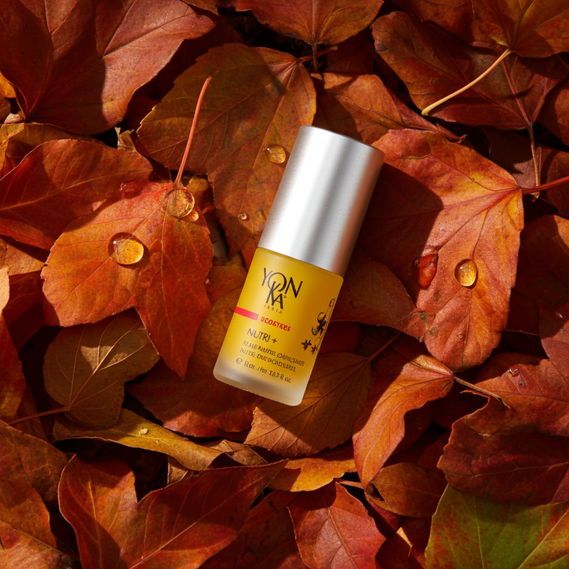 Herbstpflege für Zuhause – Meine Top 3 Yon-Ka Paris Favoriten